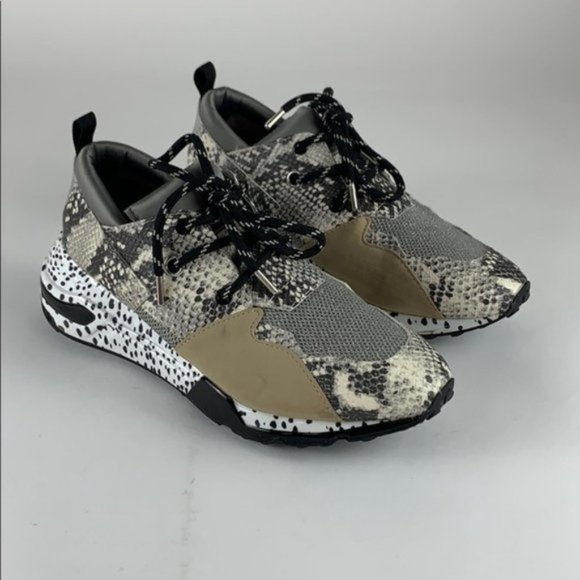 Steve Madden Other - Steve Madden Ridge Snake Skin Sneaker Men's 9.5